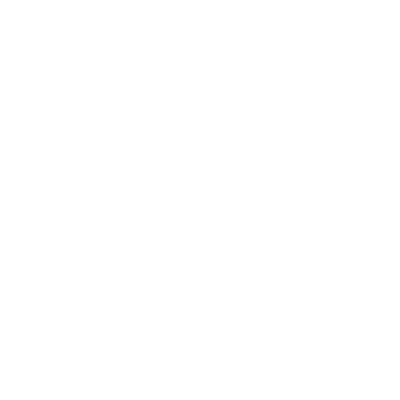 IBM Logo White