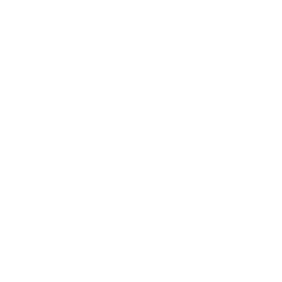 Checkpoint Logo White