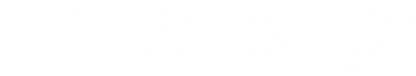 PaloAlto Logo White