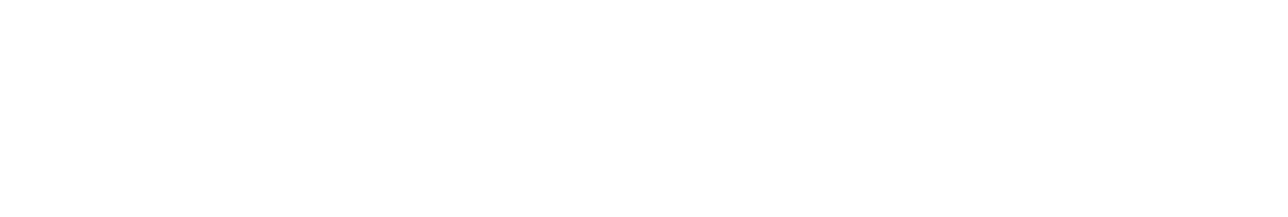 SentinelOne Logo Color