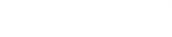 ZScaler Logo White