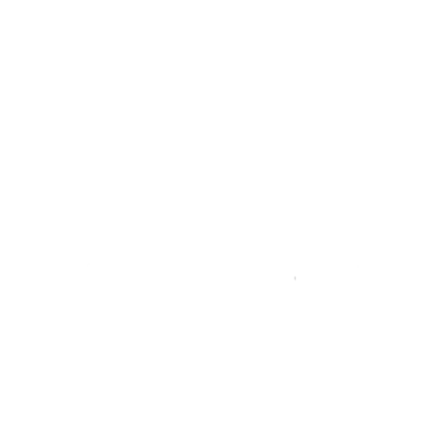 Cisco Logo White